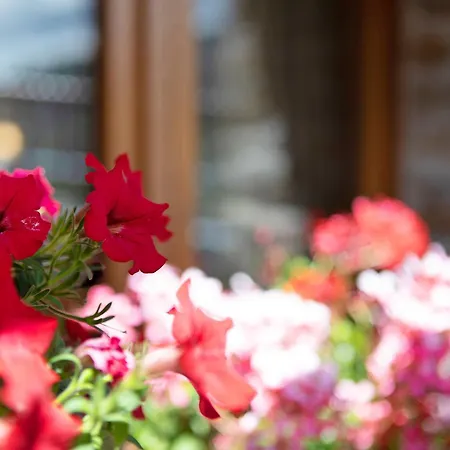 Maison Godioz - 1 * Leverogne Rochefort